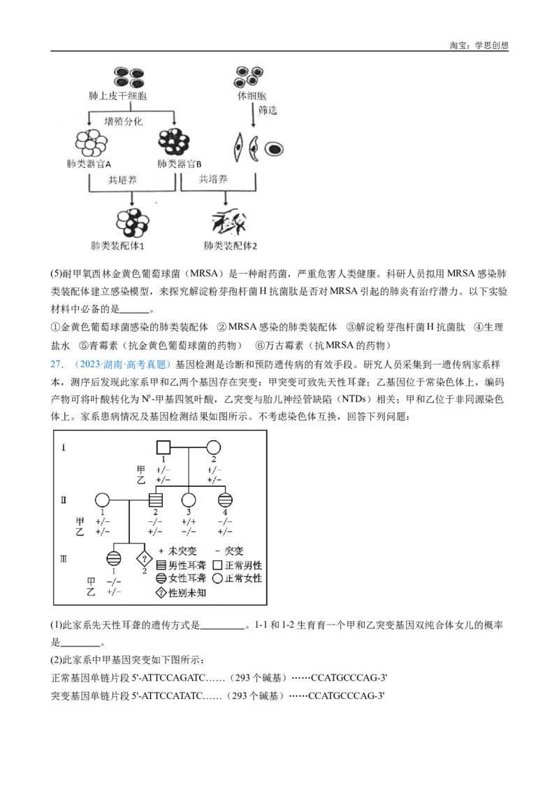 专题14变异、育种与进化-好题汇编十年（2015-2024）高考生物真题分类汇编（全国通用）（原卷版）_生物真题汇总_十年（2014-2024）高考生物真题分项汇编（全国通用）