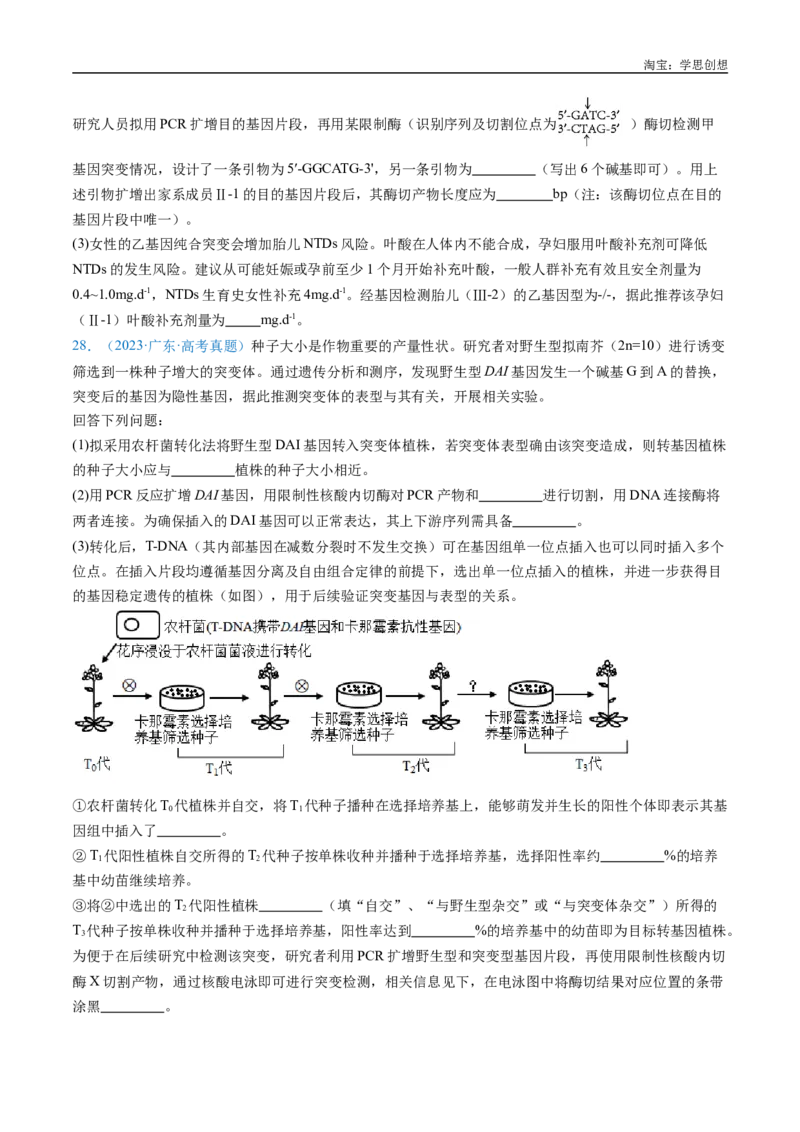专题14变异、育种与进化-好题汇编十年（2015-2024）高考生物真题分类汇编（全国通用）（原卷版）_生物真题汇总_十年（2014-2024）高考生物真题分项汇编（全国通用）