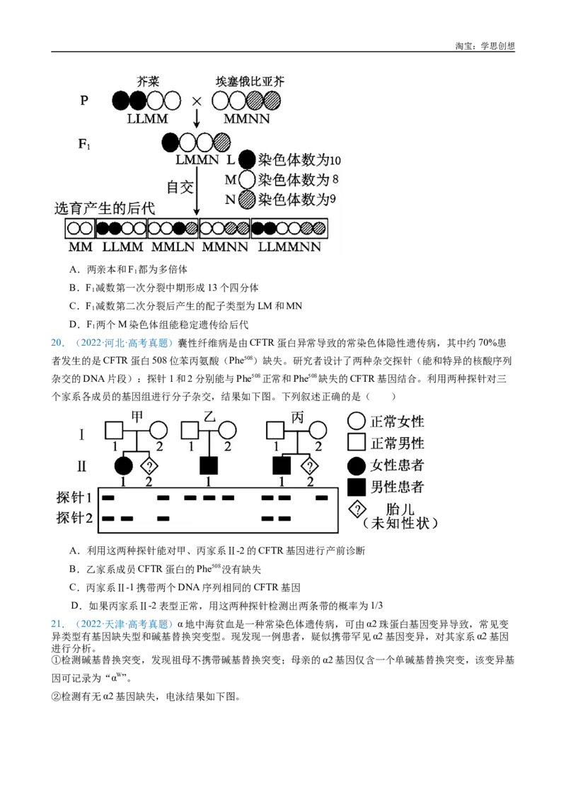 专题14变异、育种与进化-好题汇编十年（2015-2024）高考生物真题分类汇编（全国通用）（原卷版）_生物真题汇总_十年（2014-2024）高考生物真题分项汇编（全国通用）