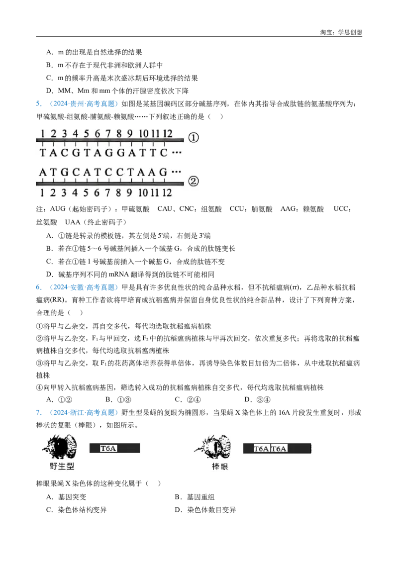 专题14变异、育种与进化-好题汇编十年（2015-2024）高考生物真题分类汇编（全国通用）（原卷版）_生物真题汇总_十年（2014-2024）高考生物真题分项汇编（全国通用）