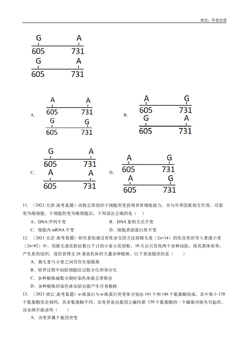 专题14变异、育种与进化-好题汇编十年（2015-2024）高考生物真题分类汇编（全国通用）（原卷版）_生物真题汇总_十年（2014-2024）高考生物真题分项汇编（全国通用）