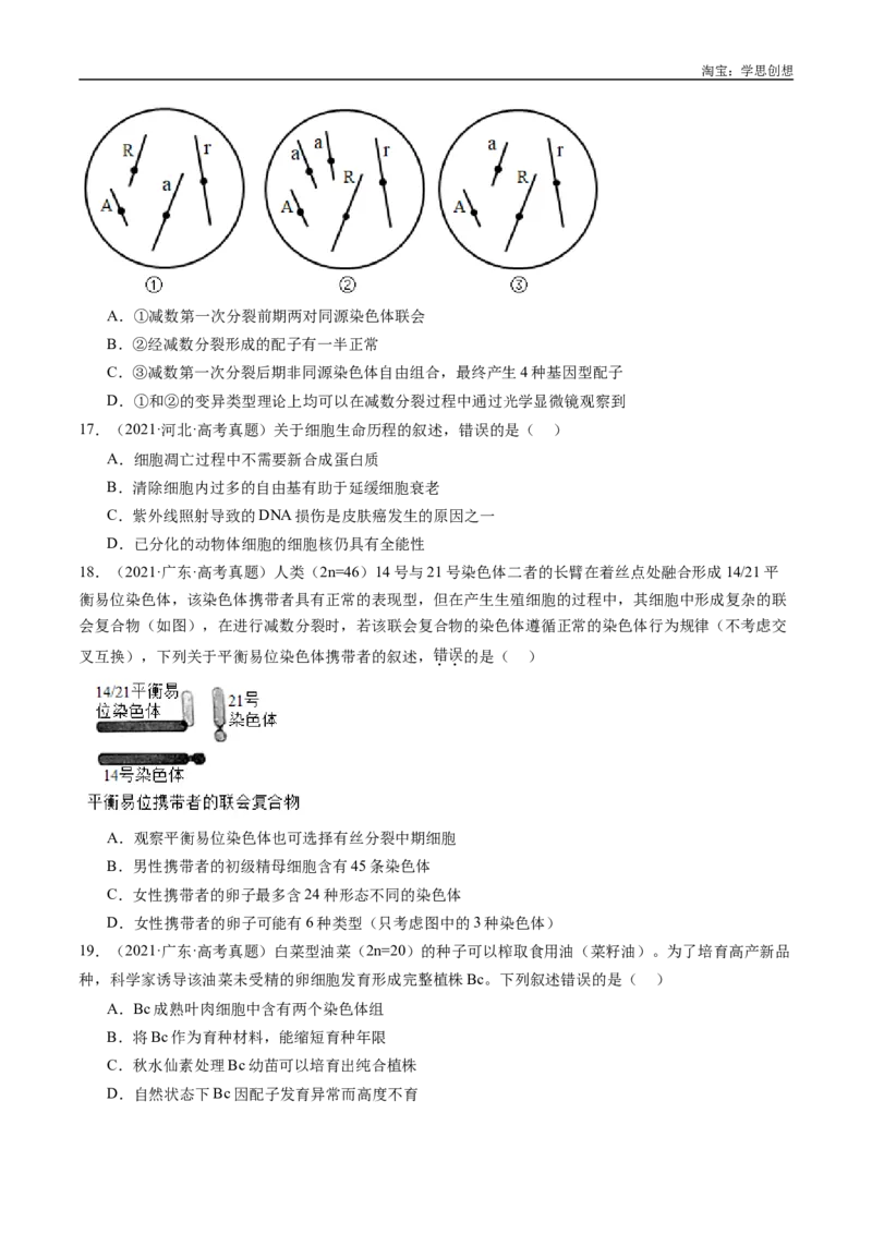专题14变异、育种与进化-好题汇编十年（2015-2024）高考生物真题分类汇编（全国通用）（原卷版）_生物真题汇总_十年（2014-2024）高考生物真题分项汇编（全国通用）