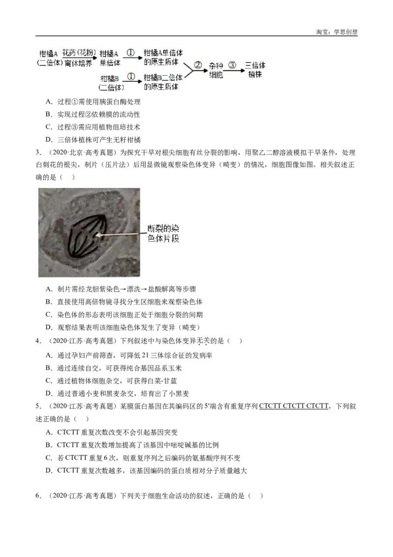 专题14变异、育种与进化-好题汇编十年（2015-2024）高考生物真题分类汇编（全国通用）（原卷版）_生物真题汇总_十年（2014-2024）高考生物真题分项汇编（全国通用）