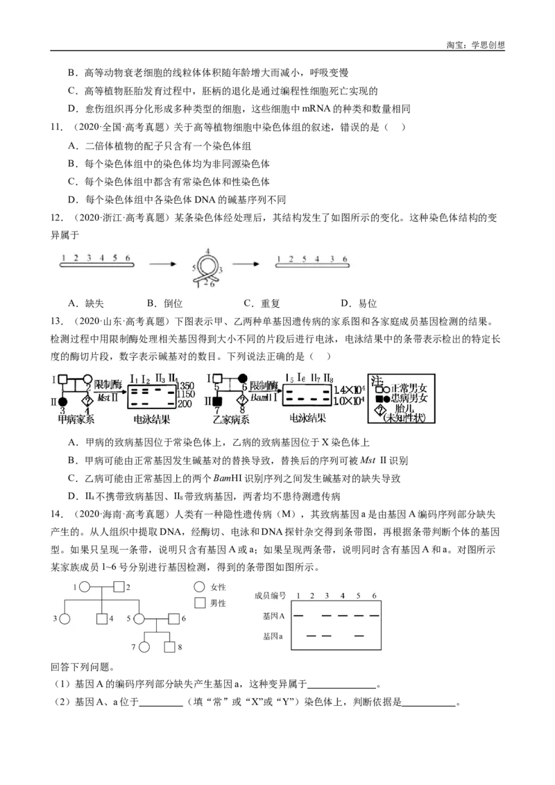 专题14变异、育种与进化-好题汇编十年（2015-2024）高考生物真题分类汇编（全国通用）（原卷版）_生物真题汇总_十年（2014-2024）高考生物真题分项汇编（全国通用）