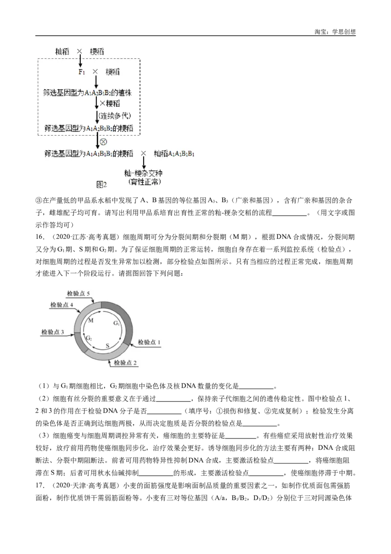 专题14变异、育种与进化-好题汇编十年（2015-2024）高考生物真题分类汇编（全国通用）（原卷版）_生物真题汇总_十年（2014-2024）高考生物真题分项汇编（全国通用）