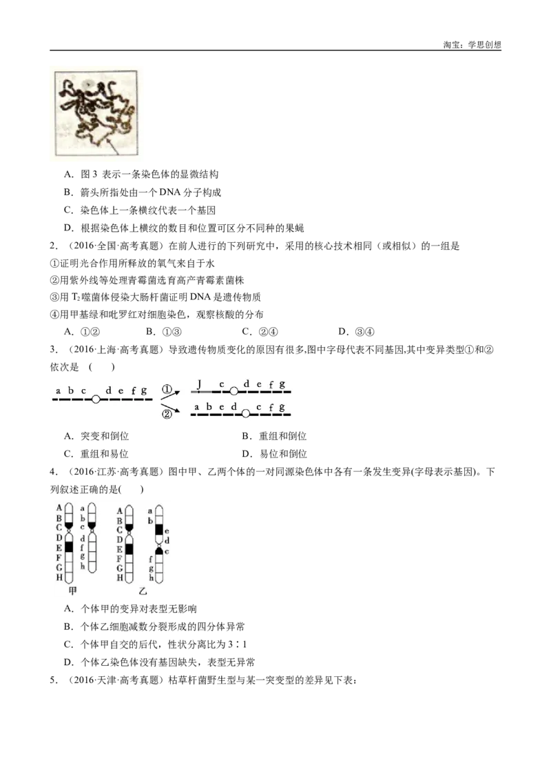 专题14变异、育种与进化-好题汇编十年（2015-2024）高考生物真题分类汇编（全国通用）（原卷版）_生物真题汇总_十年（2014-2024）高考生物真题分项汇编（全国通用）