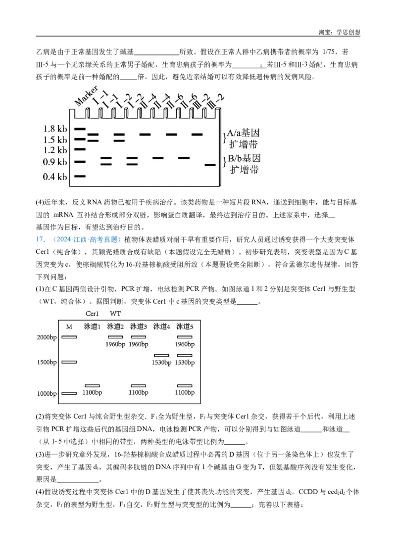 专题14变异、育种与进化-好题汇编十年（2015-2024）高考生物真题分类汇编（全国通用）（原卷版）_生物真题汇总_十年（2014-2024）高考生物真题分项汇编（全国通用）