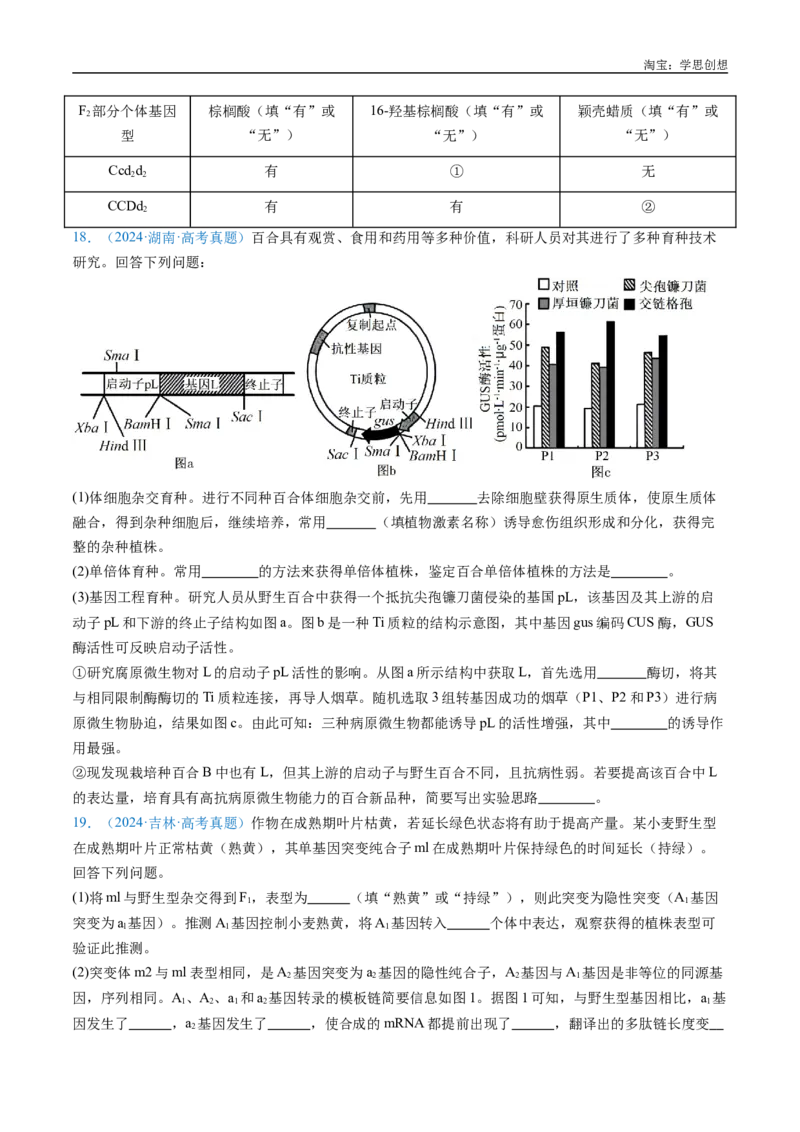 专题14变异、育种与进化-好题汇编十年（2015-2024）高考生物真题分类汇编（全国通用）（原卷版）_生物真题汇总_十年（2014-2024）高考生物真题分项汇编（全国通用）
