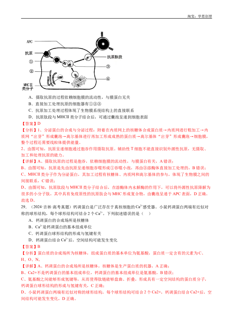 专题02细胞的结构和功能-好题汇编十年（2015-2024）高考生物真题分类汇编（全国通用）（解析版）_生物真题汇总_十年（2014-2024）高考生物真题分项汇编（全国通用）