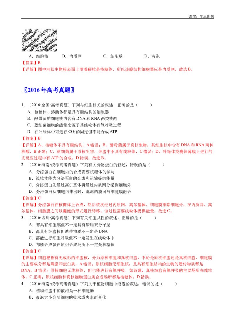 专题02细胞的结构和功能-好题汇编十年（2015-2024）高考生物真题分类汇编（全国通用）（解析版）_生物真题汇总_十年（2014-2024）高考生物真题分项汇编（全国通用）