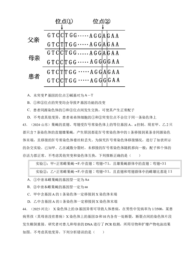 专题13变异_生物真题汇总_&radic;近三年（2023-2025）高考生物真题分专项精编_真题分专项汇编