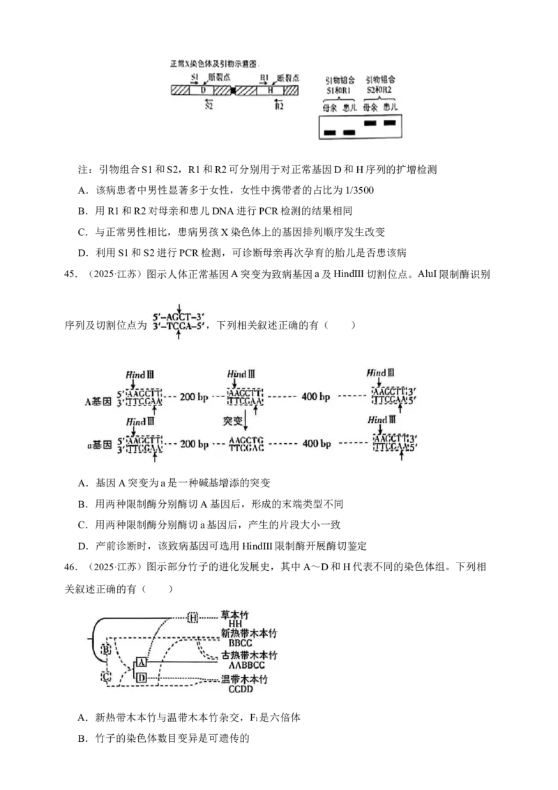 专题13变异_生物真题汇总_&radic;近三年（2023-2025）高考生物真题分专项精编_真题分专项汇编