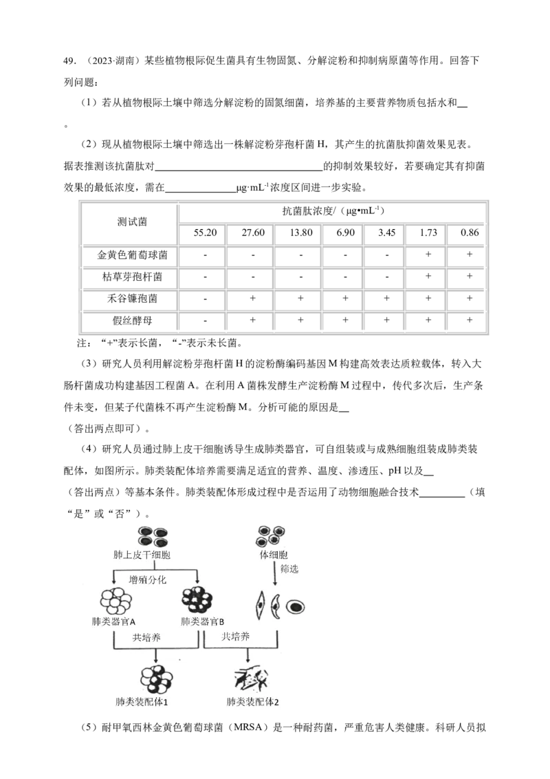 专题13变异_生物真题汇总_&radic;近三年（2023-2025）高考生物真题分专项精编_真题分专项汇编