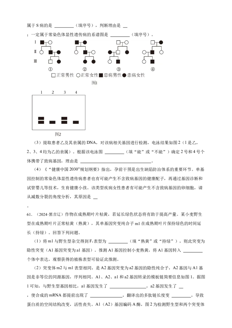专题13变异_生物真题汇总_&radic;近三年（2023-2025）高考生物真题分专项精编_真题分专项汇编