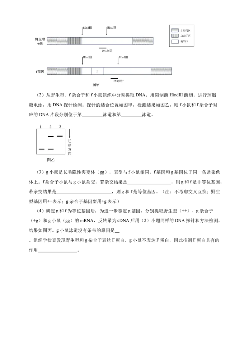 专题13变异_生物真题汇总_&radic;近三年（2023-2025）高考生物真题分专项精编_真题分专项汇编