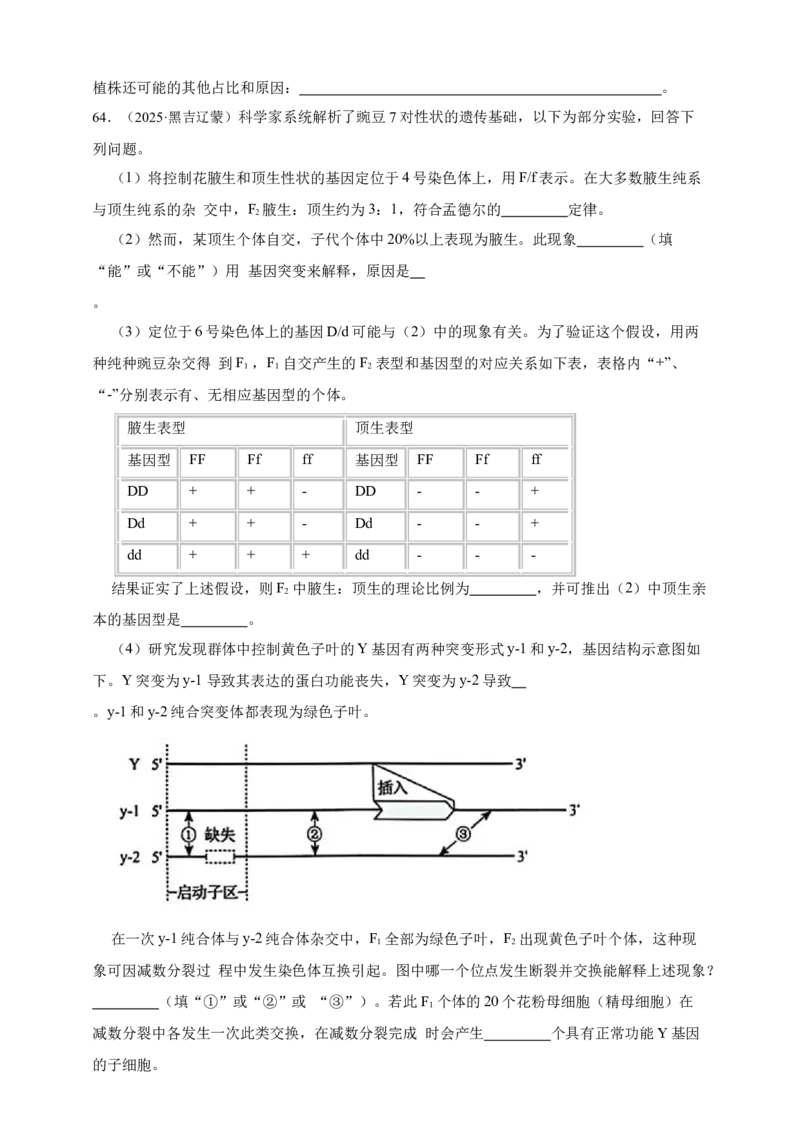 专题13变异_生物真题汇总_&radic;近三年（2023-2025）高考生物真题分专项精编_真题分专项汇编