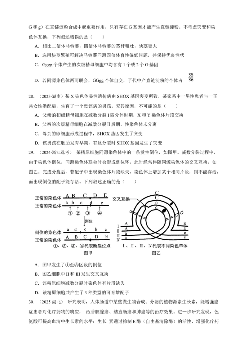 专题13变异_生物真题汇总_&radic;近三年（2023-2025）高考生物真题分专项精编_真题分专项汇编