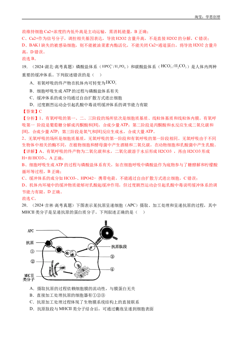 专题03物质运输-好题汇编十年（2015-2024）高考生物真题分类汇编（全国通用）（解析版）_生物真题汇总_十年（2014-2024）高考生物真题分项汇编（全国通用）
