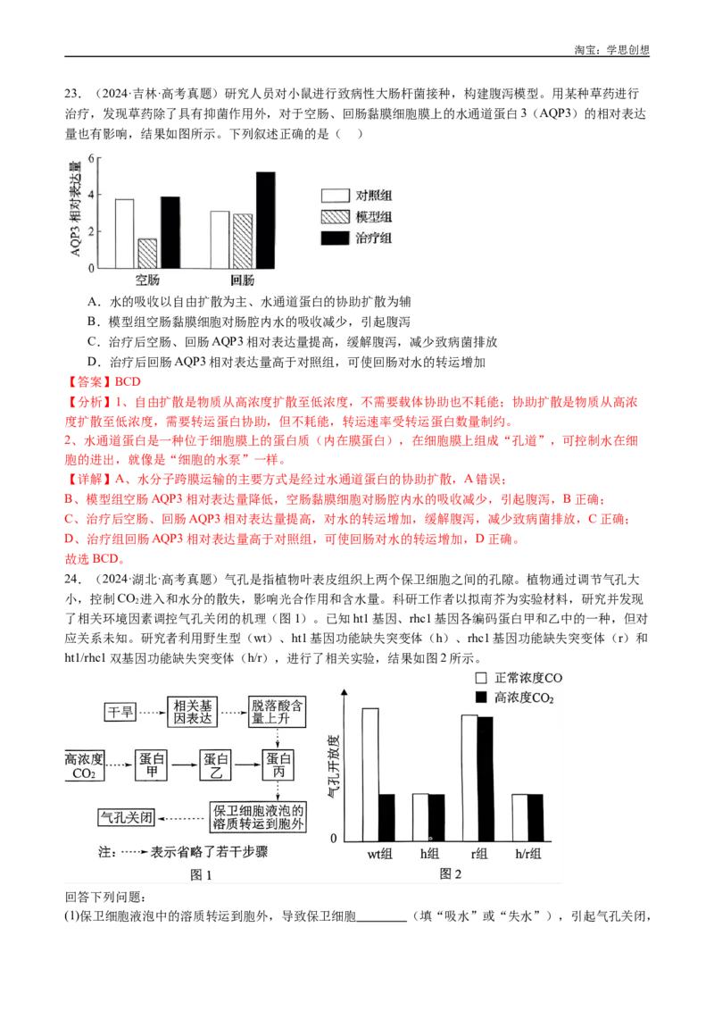专题03物质运输-好题汇编十年（2015-2024）高考生物真题分类汇编（全国通用）（解析版）_生物真题汇总_十年（2014-2024）高考生物真题分项汇编（全国通用）