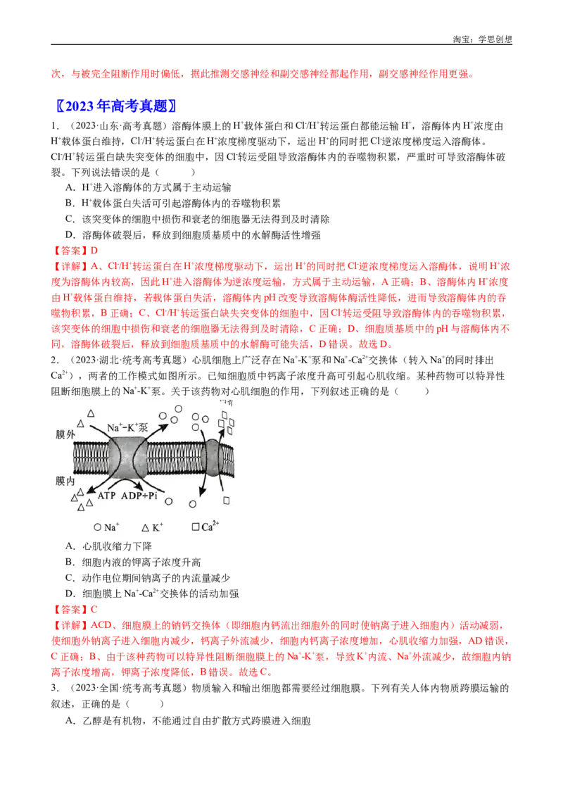 专题03物质运输-好题汇编十年（2015-2024）高考生物真题分类汇编（全国通用）（解析版）_生物真题汇总_十年（2014-2024）高考生物真题分项汇编（全国通用）