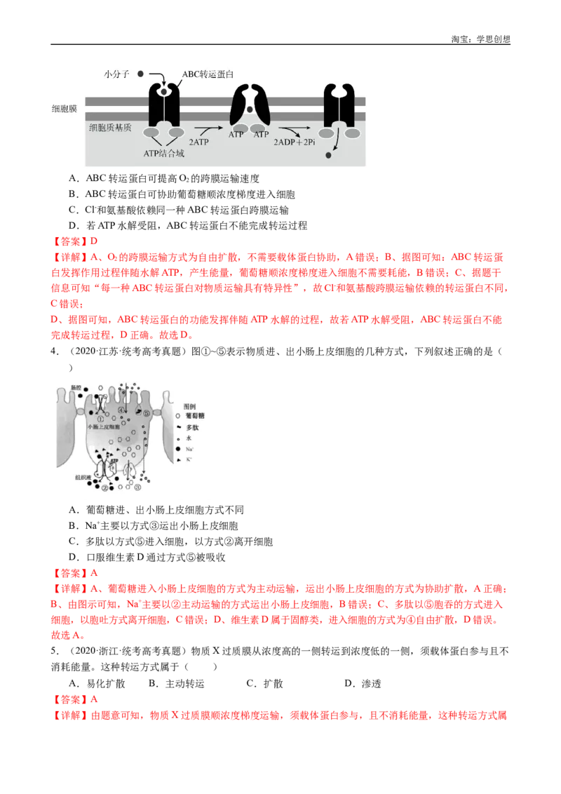 专题03物质运输-好题汇编十年（2015-2024）高考生物真题分类汇编（全国通用）（解析版）_生物真题汇总_十年（2014-2024）高考生物真题分项汇编（全国通用）