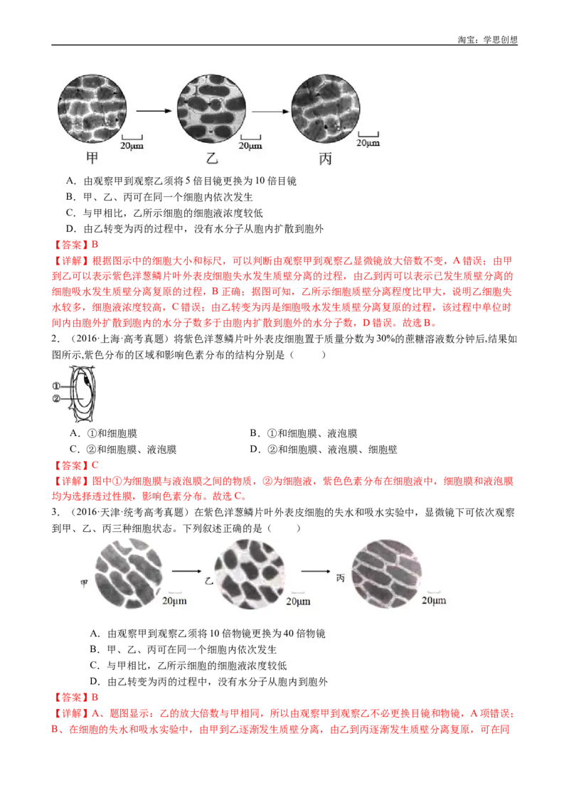 专题03物质运输-好题汇编十年（2015-2024）高考生物真题分类汇编（全国通用）（解析版）_生物真题汇总_十年（2014-2024）高考生物真题分项汇编（全国通用）