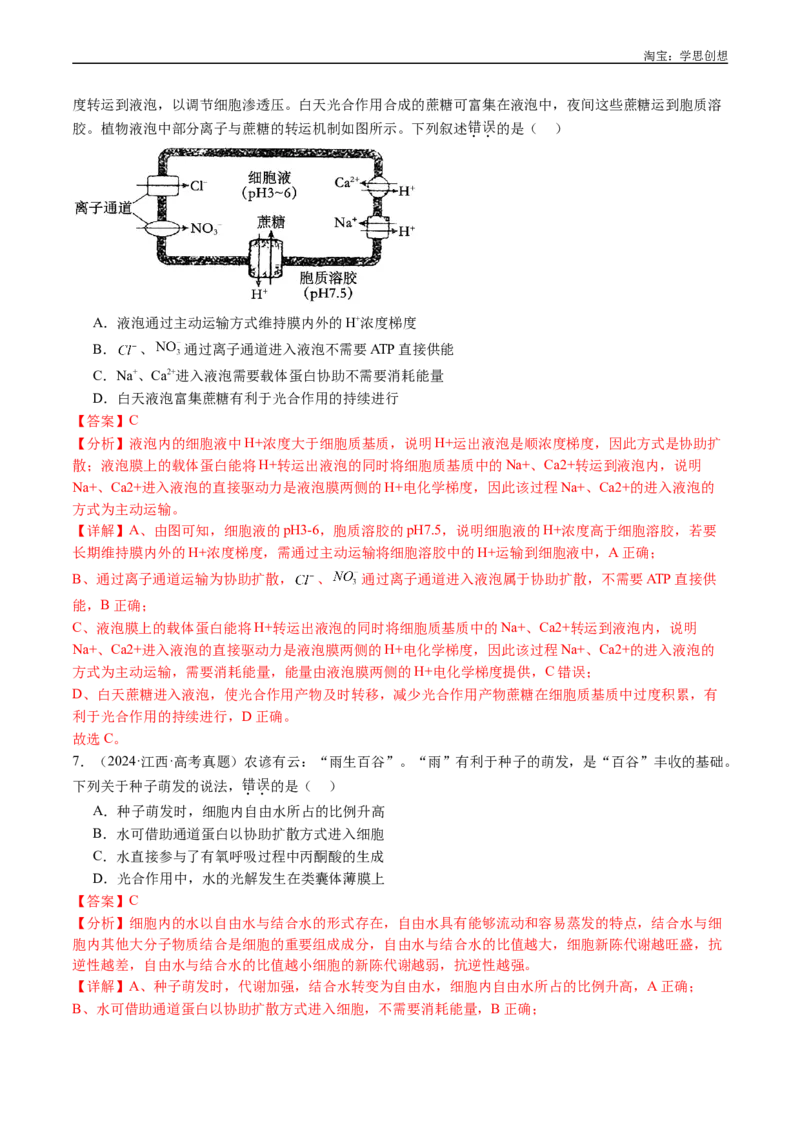 专题03物质运输-好题汇编十年（2015-2024）高考生物真题分类汇编（全国通用）（解析版）_生物真题汇总_十年（2014-2024）高考生物真题分项汇编（全国通用）