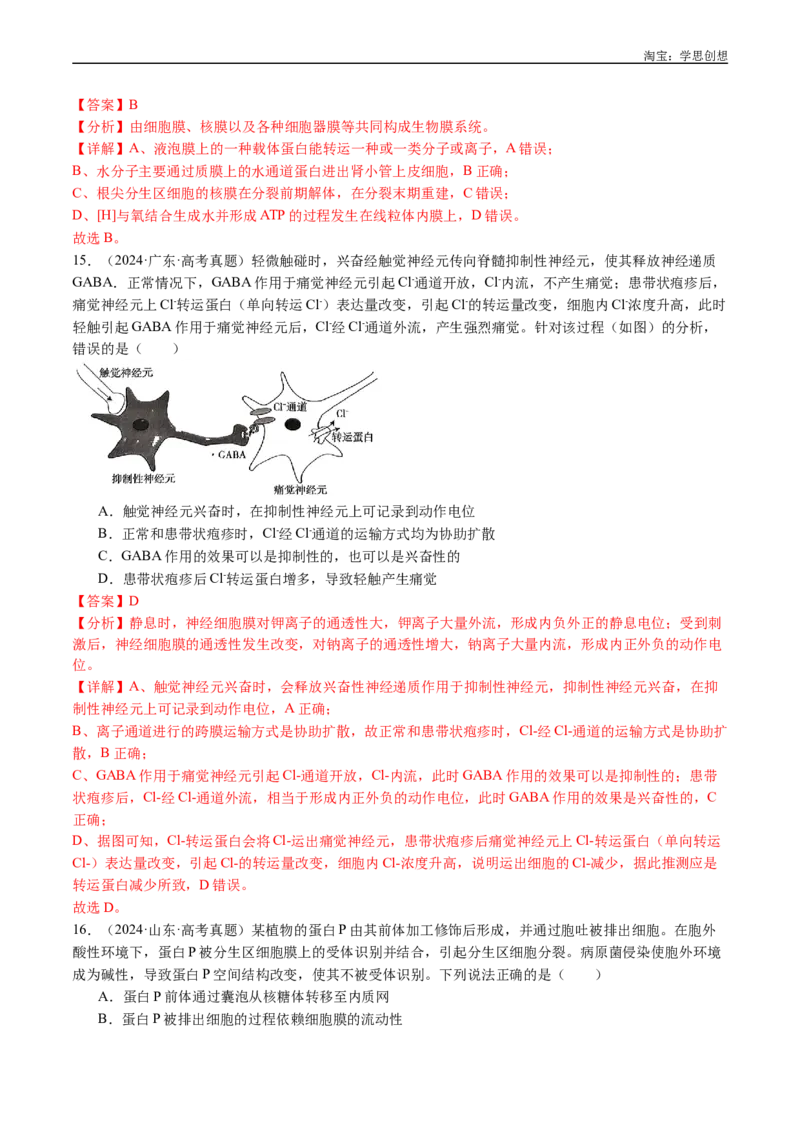 专题03物质运输-好题汇编十年（2015-2024）高考生物真题分类汇编（全国通用）（解析版）_生物真题汇总_十年（2014-2024）高考生物真题分项汇编（全国通用）