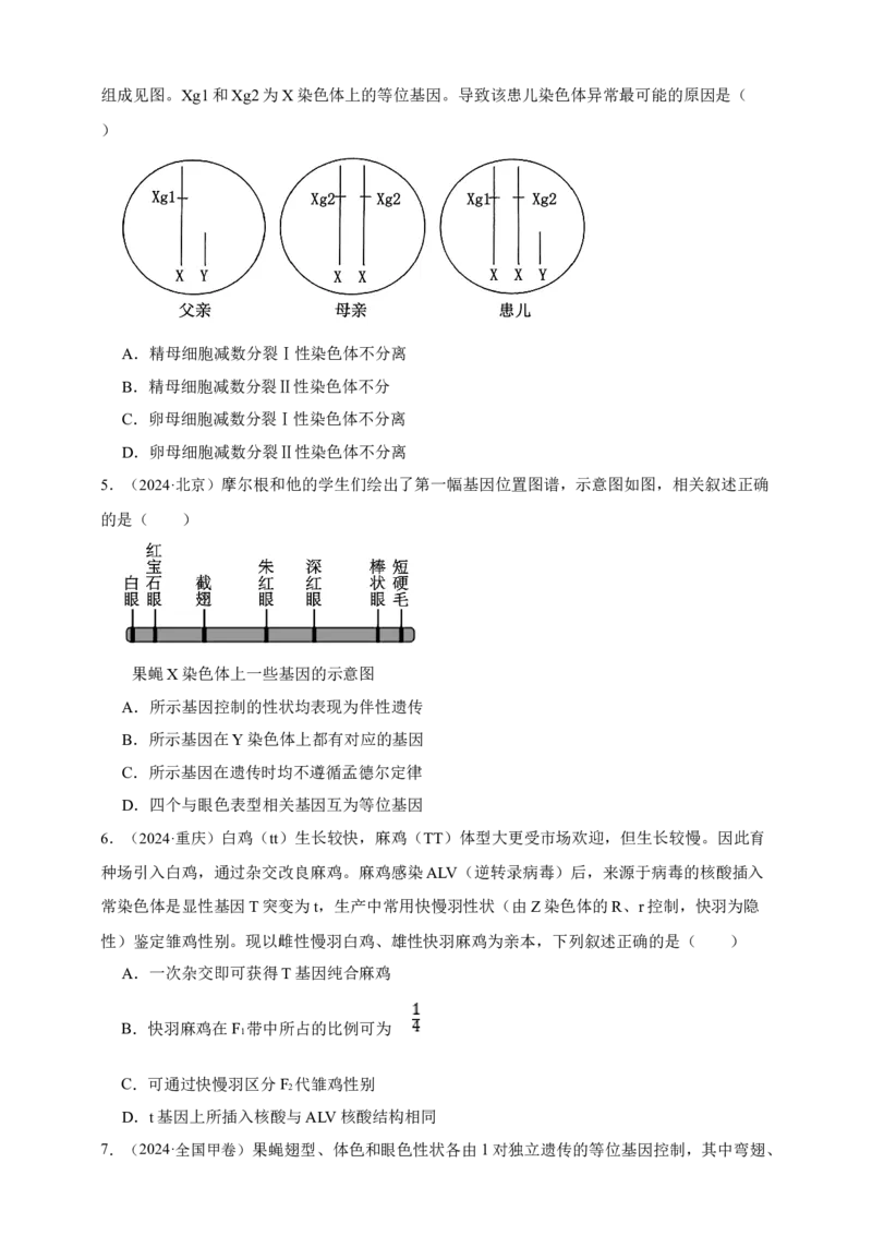 专题12伴性遗传和人类遗传病_生物真题汇总_&radic;近三年（2023-2025）高考生物真题分专项精编_真题分专项汇编