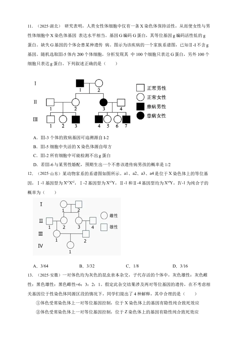 专题12伴性遗传和人类遗传病_生物真题汇总_&radic;近三年（2023-2025）高考生物真题分专项精编_真题分专项汇编