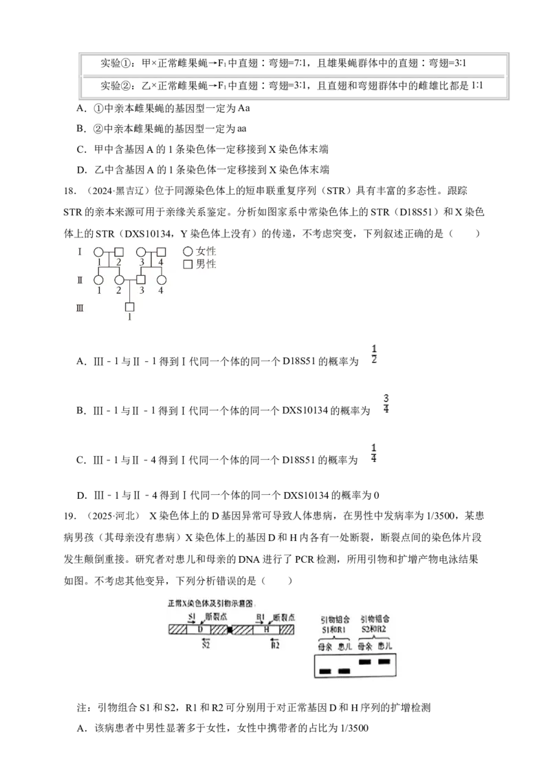 专题12伴性遗传和人类遗传病_生物真题汇总_&radic;近三年（2023-2025）高考生物真题分专项精编_真题分专项汇编