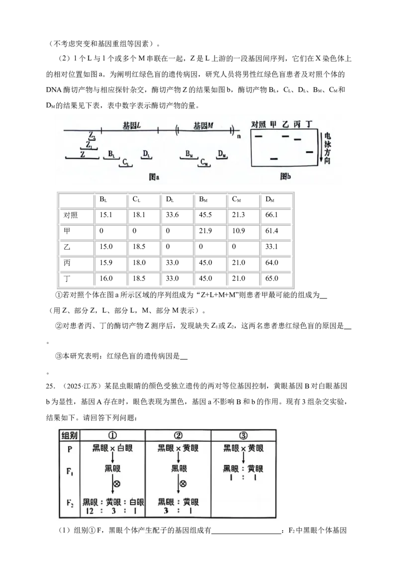 专题12伴性遗传和人类遗传病_生物真题汇总_&radic;近三年（2023-2025）高考生物真题分专项精编_真题分专项汇编