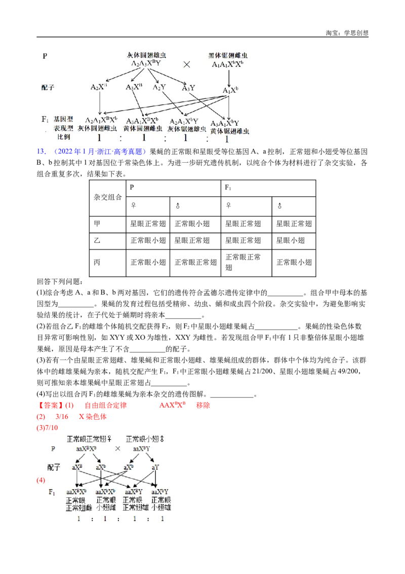 专题13伴性遗传和人类遗传病-好题汇编十年（2015-2024）高考生物真题分类汇编（全国通用）（解析版）_生物真题汇总_十年（2014-2024）高考生物真题分项汇编（全国通用）