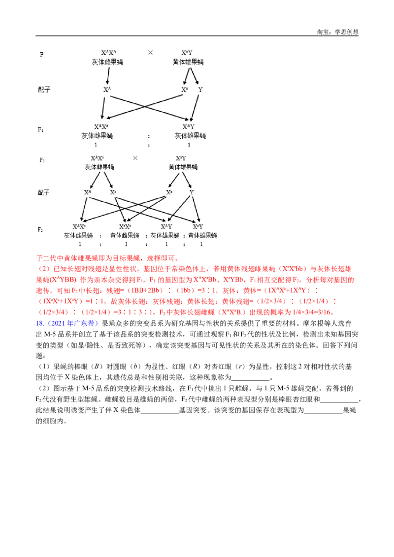 专题13伴性遗传和人类遗传病-好题汇编十年（2015-2024）高考生物真题分类汇编（全国通用）（解析版）_生物真题汇总_十年（2014-2024）高考生物真题分项汇编（全国通用）