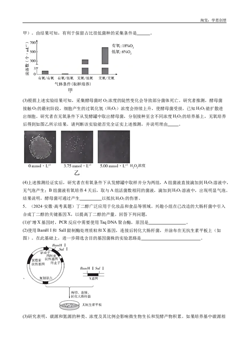 专题23发酵工程-好题汇编十年（2015-2024）高考生物真题分类汇编（全国通用）（原卷版）_生物真题汇总_十年（2014-2024）高考生物真题分项汇编（全国通用）