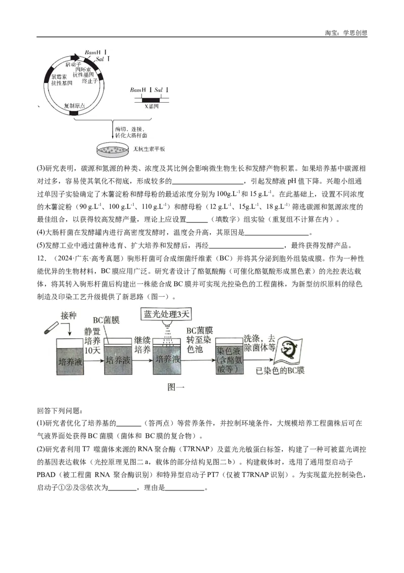 专题23发酵工程-好题汇编十年（2015-2024）高考生物真题分类汇编（全国通用）（原卷版）_生物真题汇总_十年（2014-2024）高考生物真题分项汇编（全国通用）