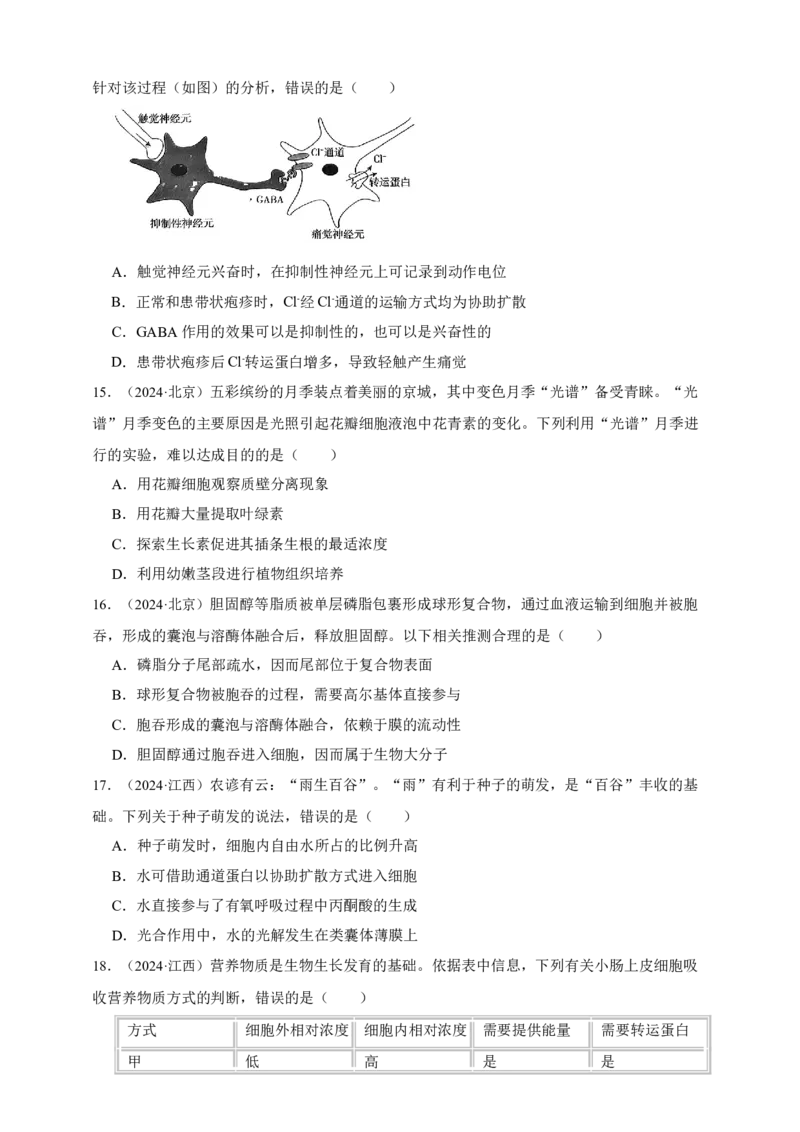 专题03物质进出细胞_生物真题汇总_&radic;近三年（2023-2025）高考生物真题分专项精编_真题分专项汇编