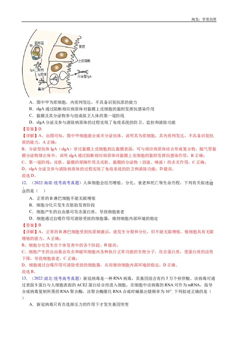 专题19免疫调节-好题汇编十年（2015-2024）高考生物真题分类汇编（全国通用）（解析版）_生物真题汇总_十年（2014-2024）高考生物真题分项汇编（全国通用）