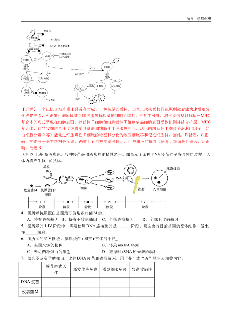 专题19免疫调节-好题汇编十年（2015-2024）高考生物真题分类汇编（全国通用）（解析版）_生物真题汇总_十年（2014-2024）高考生物真题分项汇编（全国通用）