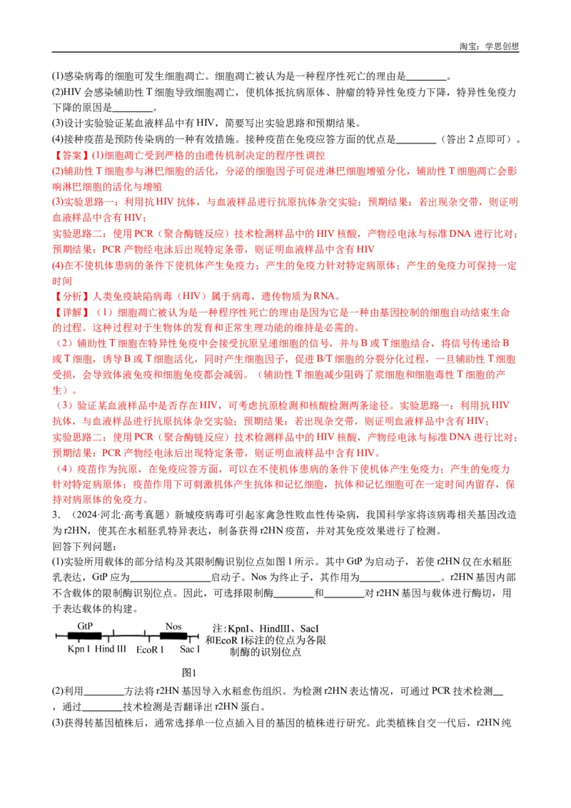 专题19免疫调节-好题汇编十年（2015-2024）高考生物真题分类汇编（全国通用）（解析版）_生物真题汇总_十年（2014-2024）高考生物真题分项汇编（全国通用）