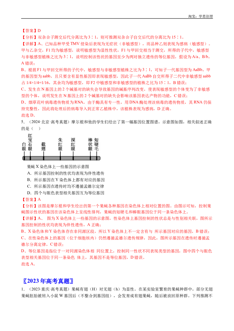 专题10遗传的分子基础-好题汇编十年（2015-2024）高考生物真题分项汇编（全国通用）（解析版）_生物真题汇总_十年（2014-2024）高考生物真题分项汇编（全国通用）