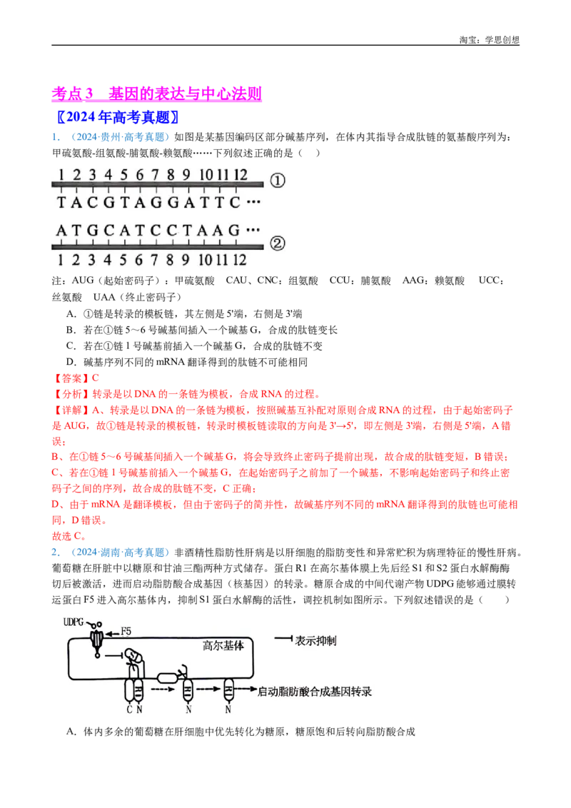 专题10遗传的分子基础-好题汇编十年（2015-2024）高考生物真题分项汇编（全国通用）（解析版）_生物真题汇总_十年（2014-2024）高考生物真题分项汇编（全国通用）
