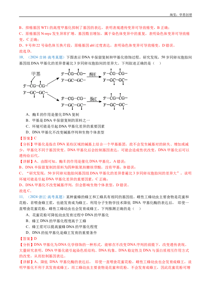 专题10遗传的分子基础-好题汇编十年（2015-2024）高考生物真题分项汇编（全国通用）（解析版）_生物真题汇总_十年（2014-2024）高考生物真题分项汇编（全国通用）