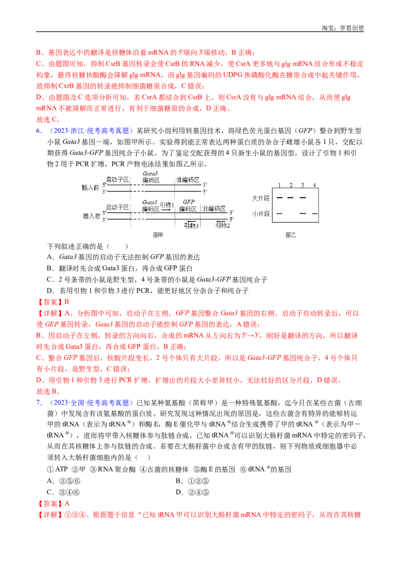 专题10遗传的分子基础-好题汇编十年（2015-2024）高考生物真题分项汇编（全国通用）（解析版）_生物真题汇总_十年（2014-2024）高考生物真题分项汇编（全国通用）