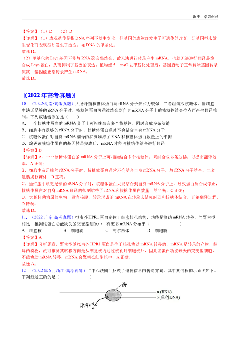 专题10遗传的分子基础-好题汇编十年（2015-2024）高考生物真题分项汇编（全国通用）（解析版）_生物真题汇总_十年（2014-2024）高考生物真题分项汇编（全国通用）