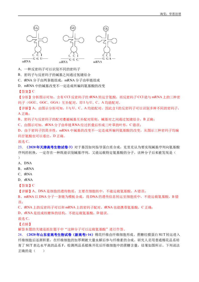 专题10遗传的分子基础-好题汇编十年（2015-2024）高考生物真题分项汇编（全国通用）（解析版）_生物真题汇总_十年（2014-2024）高考生物真题分项汇编（全国通用）