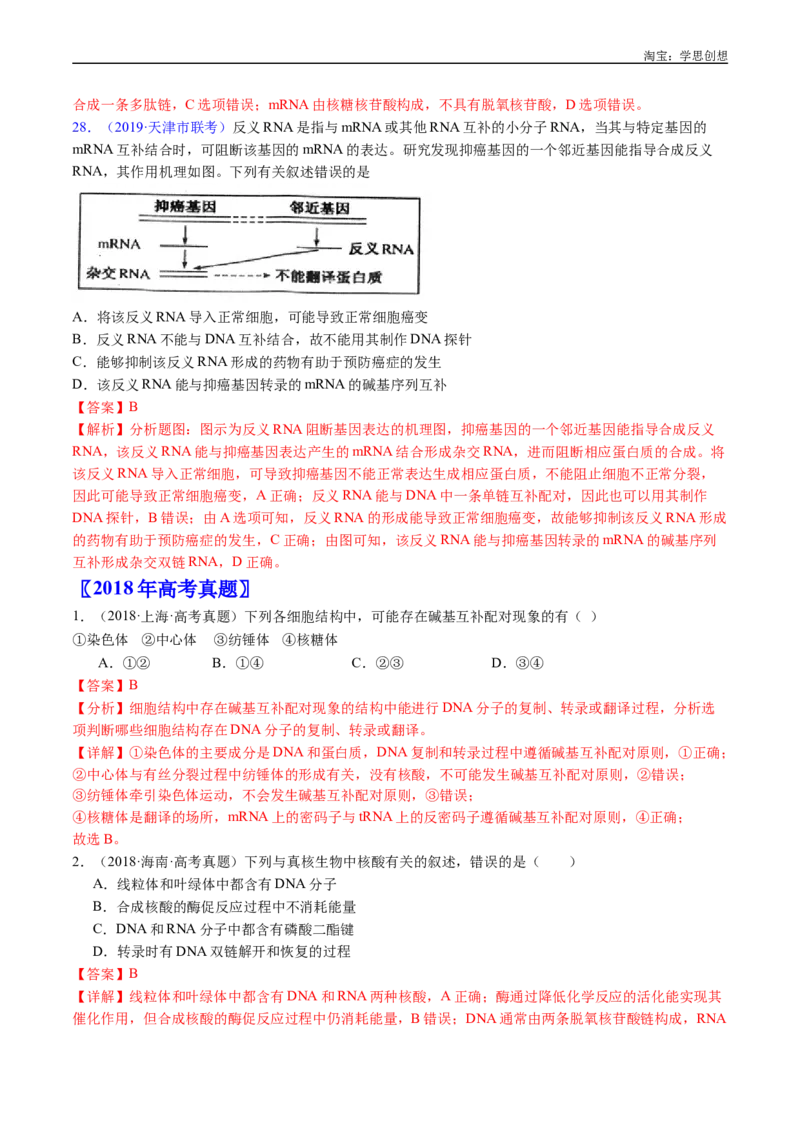 专题10遗传的分子基础-好题汇编十年（2015-2024）高考生物真题分项汇编（全国通用）（解析版）_生物真题汇总_十年（2014-2024）高考生物真题分项汇编（全国通用）