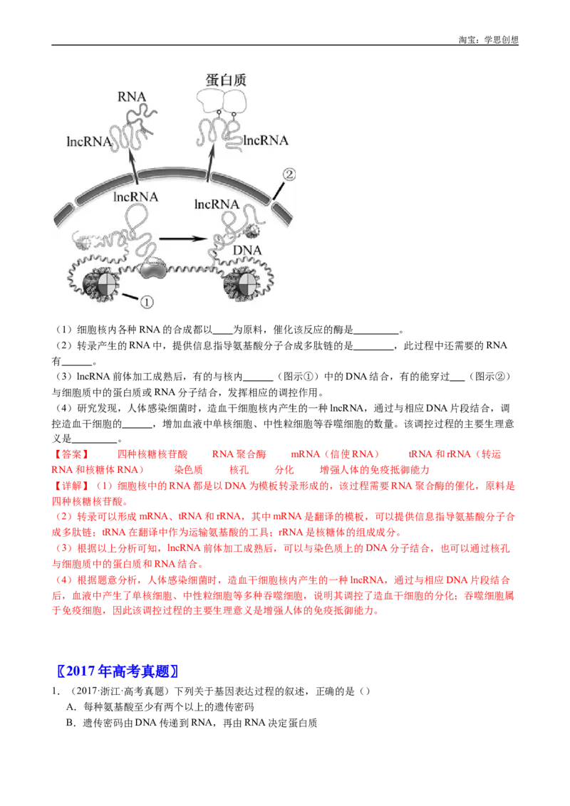 专题10遗传的分子基础-好题汇编十年（2015-2024）高考生物真题分项汇编（全国通用）（解析版）_生物真题汇总_十年（2014-2024）高考生物真题分项汇编（全国通用）
