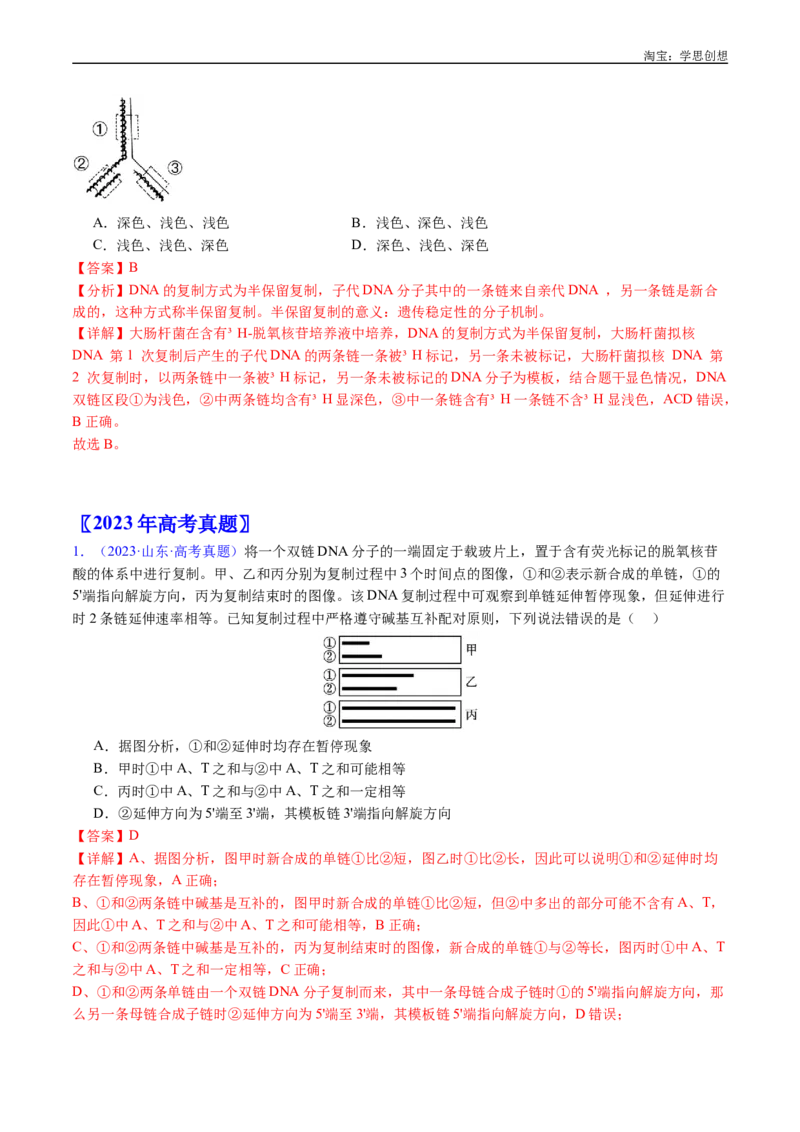 专题10遗传的分子基础-好题汇编十年（2015-2024）高考生物真题分项汇编（全国通用）（解析版）_生物真题汇总_十年（2014-2024）高考生物真题分项汇编（全国通用）