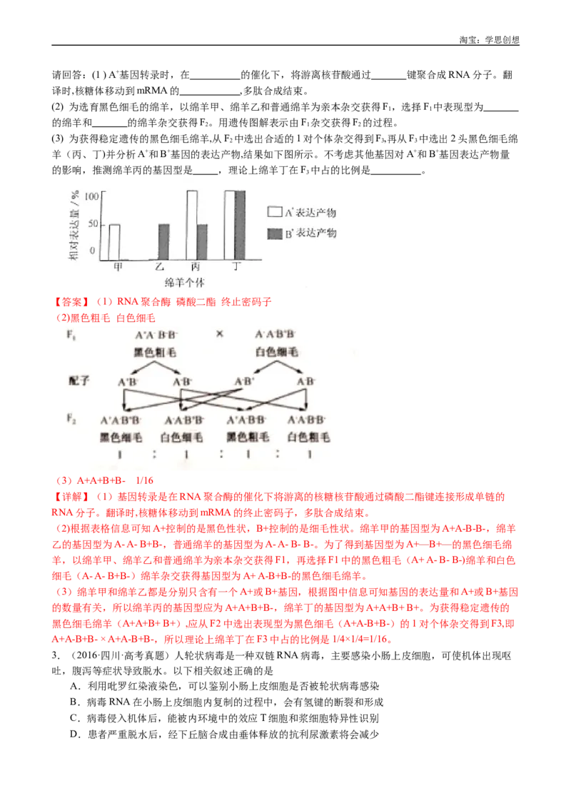专题10遗传的分子基础-好题汇编十年（2015-2024）高考生物真题分项汇编（全国通用）（解析版）_生物真题汇总_十年（2014-2024）高考生物真题分项汇编（全国通用）
